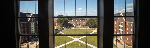 Quad window view